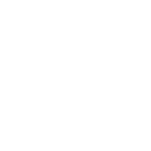 5 5