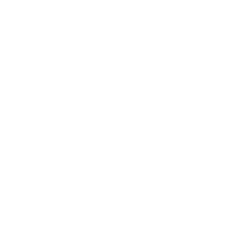 TEAM I TEAM I