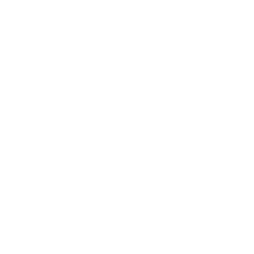 VIG VIG